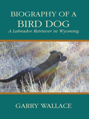 cover image of Biography of a Bird Dog